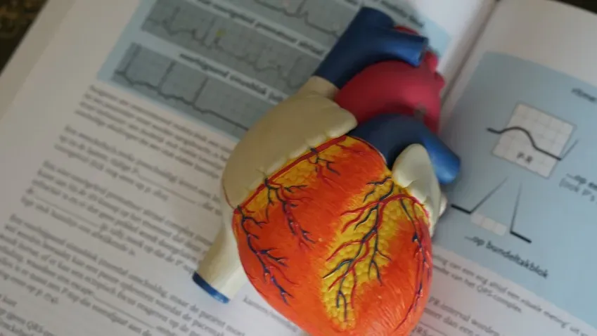 NM: Искусственный интеллект позволил повысить точность диагностики инфаркта