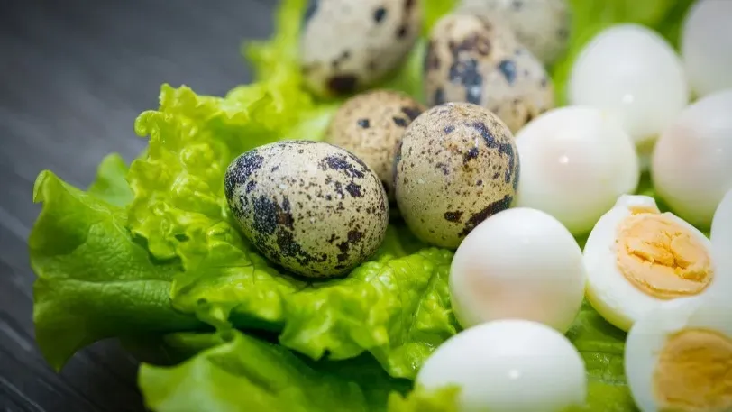 «ИноСМИ»: Диетологи объяснили, кому не следует есть яйца