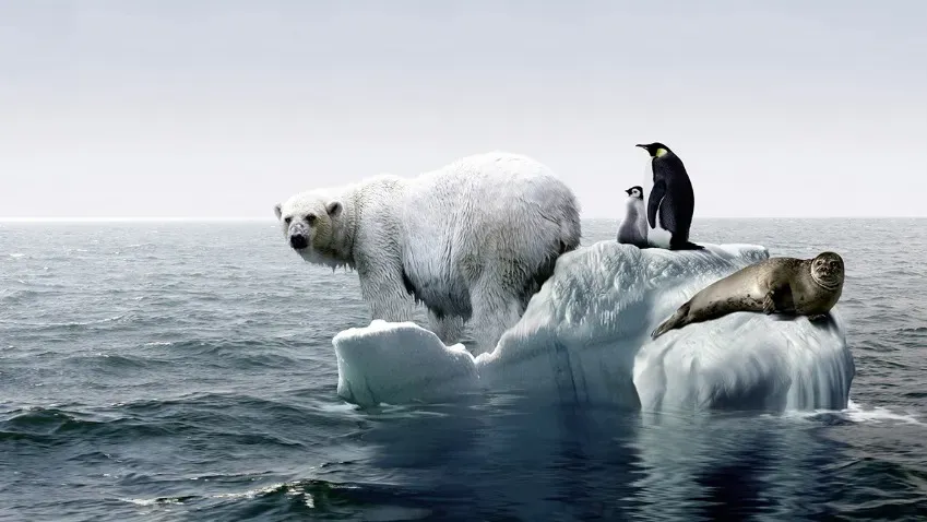 «Paleoceanography&Paleoclimatology»: глобальное потепление усилит влажность в тропиках