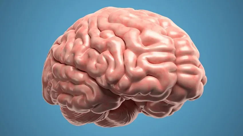 Даже легкая форма COVID-19 может изменить мозг человека