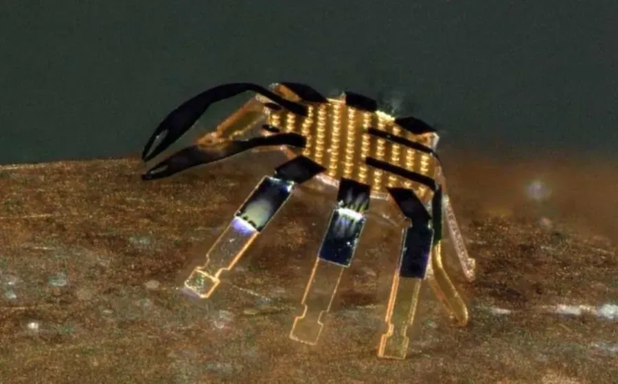 Робот-краб — самый маленький шагающий робот в мире, который управляется при помощи нагревающего...