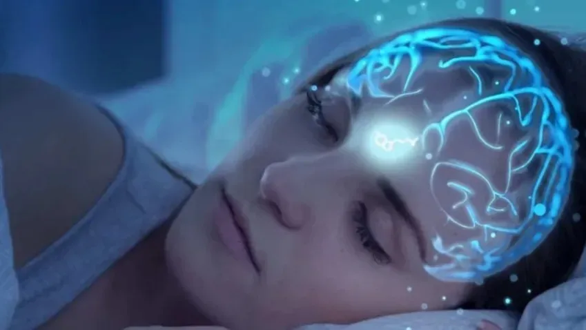 Nature: Нейроны мозга могут предсказывать будущее во время сна