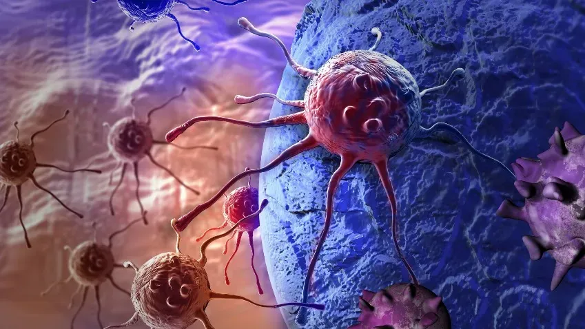 Ученые обнаружили клетки происхождения рака молочной железы у группы высокого риска