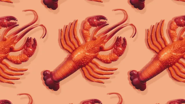 Локальный AI Moltbot выполняет задачи и управляет приложениями