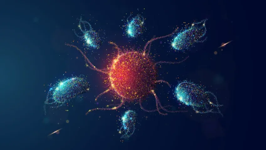 Ученые изучили белки иммунной системы для лучшего лечения целого ряда заболеваний