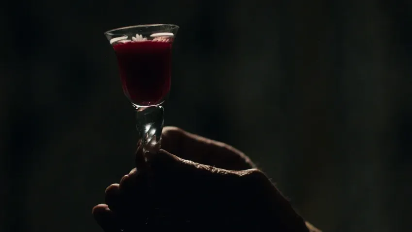 НТВ: сколько миллионеров-вампиров живут среди нас, пьющих омолаживающую кровь