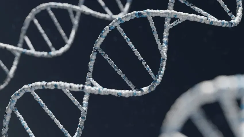 Nature Genetics: Найдены новые отвечающие за эпилепсию гены