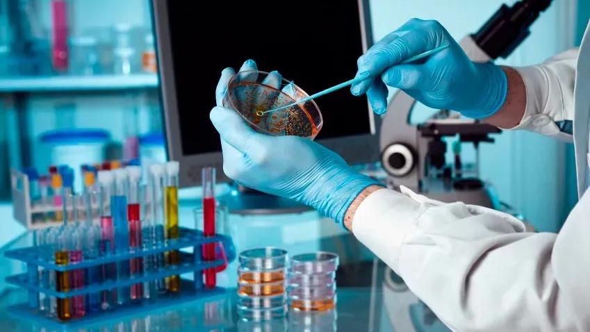 Science Advances: покадровая сегментация данных выявляет динамику состояния клеток in vivo