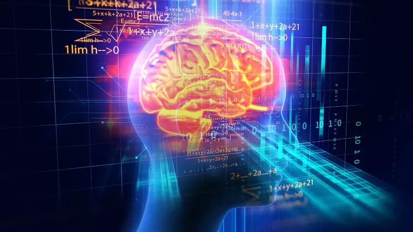 Был опубликован первый цифровой атлас развития мозга плода человека