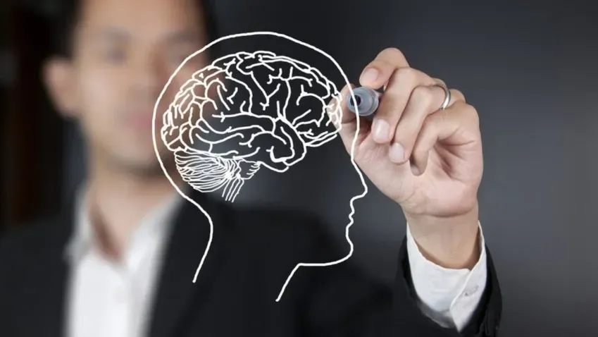 Пермская ученая рассказала, как улучшить память и работу мозга