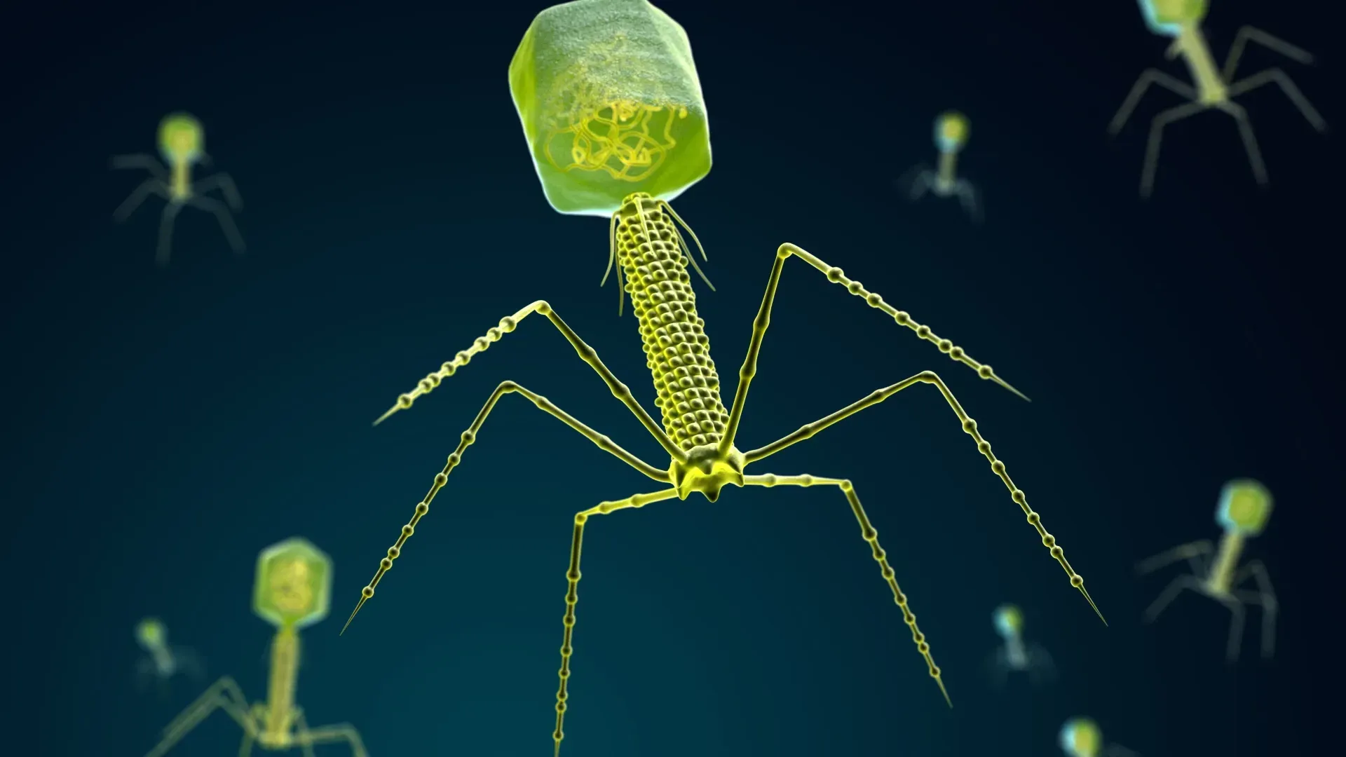 Биотехнология позволяет извлекать редкоземельные элементы без токсинов