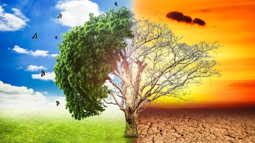 Nature Communications: Изменение климата может превратить Средиземноморье в пустыню