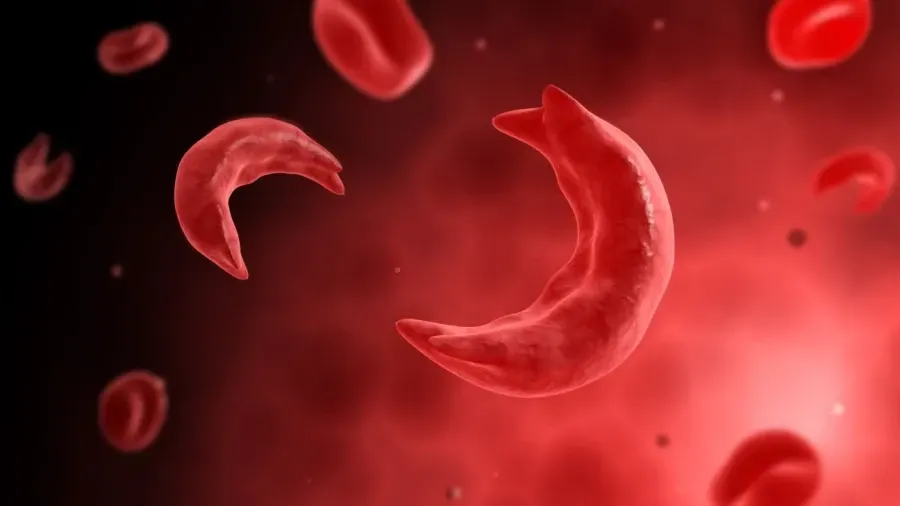 Источник: medicalinsider.ru