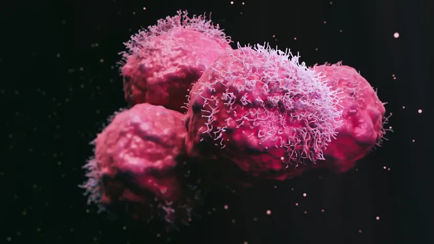 Древний ретровирус обвинили в появлении одного из самых агрессивных видов рака