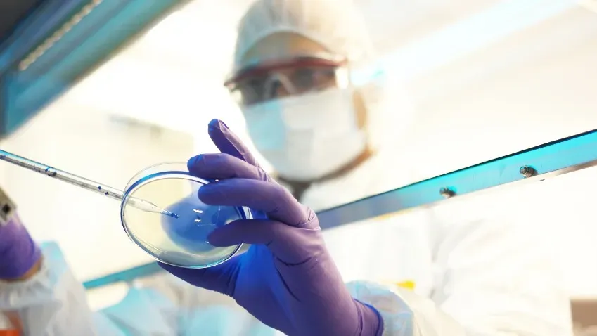 RT: Ученые из РФ создали титановые наночастицы антибактериального действия