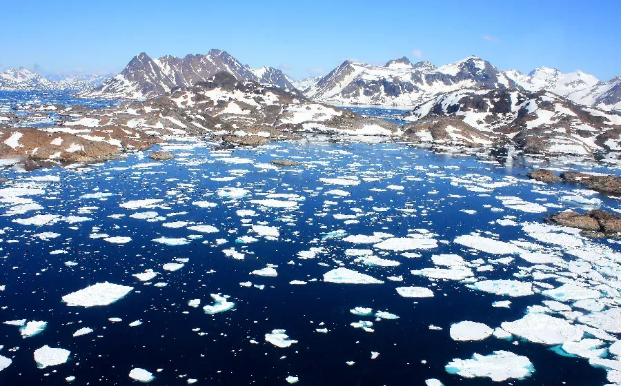 Канадские вирусологи: таяние льдов в Арктике может стать причиной следующей пандемии