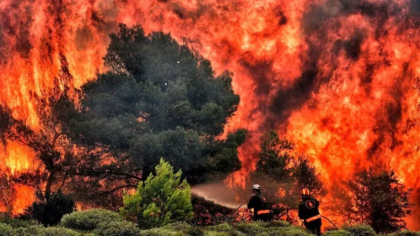 Ученые рассказали, что дым от лесных пожаров опасен для беременных