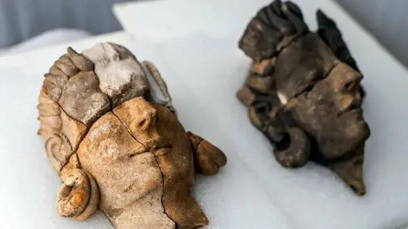 Первые человеческие изображения бронзового века найдены в Испании