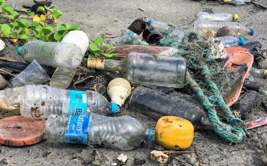 Учёные Плимутского университета оценили эффективность гаджета для очистки океанов от мусора