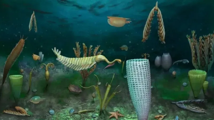 В Уэльсе обнаружены хорошо сохранившиеся редкие окаменелости возрастом 460 миллионов лет