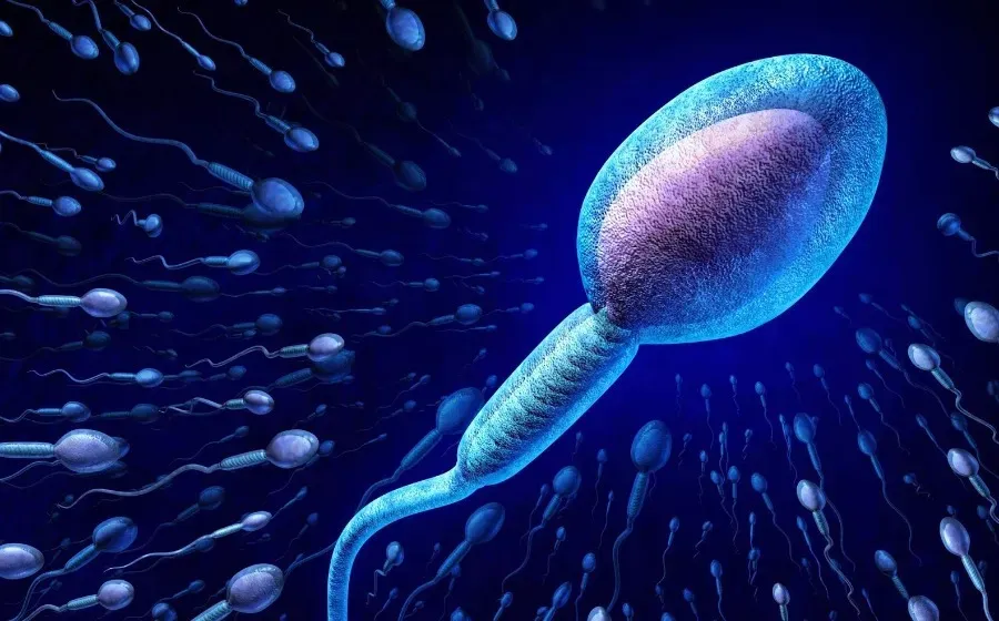 Сперматозоиды "возрастных" мужчин содержат мутации, влияющие на здоровье детей
