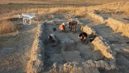 The Times of Israel: учёные нашли в древнем городе Тель-Цаф следы 7000-летнего хлопка