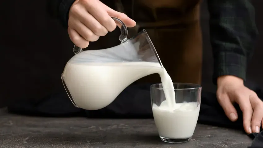 Гастроэнтеролог из РФ Тимощенко развеяла пять самых популярных мифов о молочных продуктах