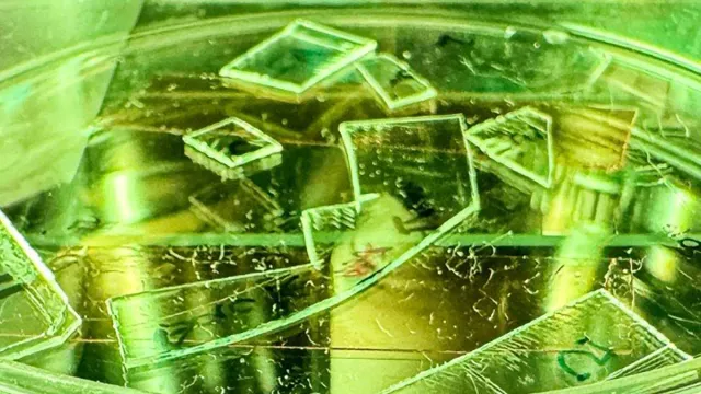 Учёные создали кремниевое покрытие, уничтожающее вирусы за часы