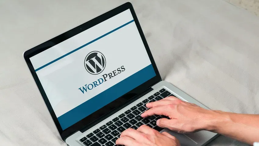 WordPress предлагает купить домен с регистрацией на 100 лет