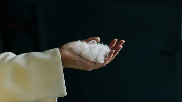 Стартап Everbloom создаёт экологичный кашемир из отходов и AI