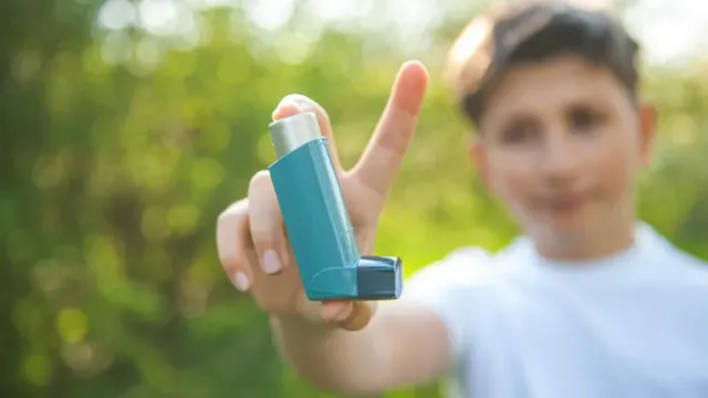 News Medical: Городская растительность может снизить риск развития астмы у детей