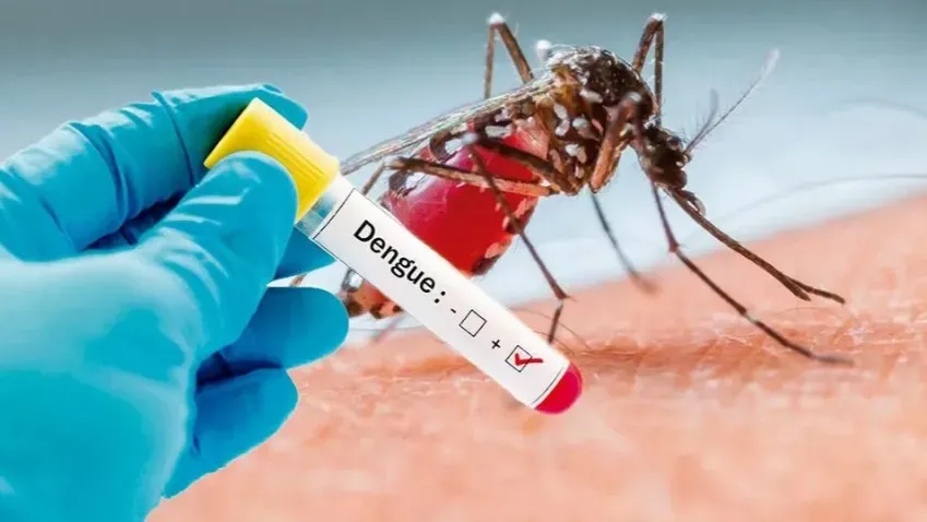 Medical Xpress: Переносимая комарами лихорадка денге набирает обороты в Европе