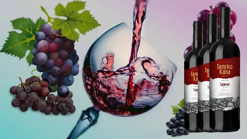 В Испании определили пользу в умеренном питье вина для защиты от некоторых видов рака