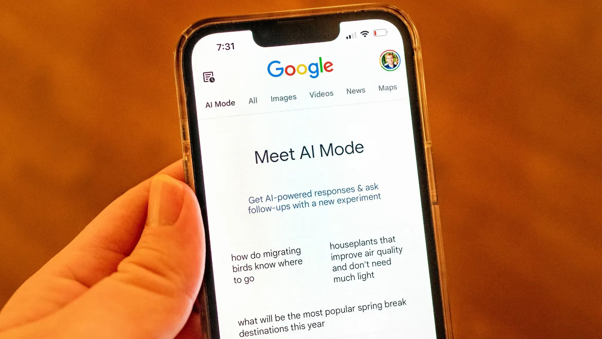 В Индии появился экспериментальный ИИ-поиск от Google