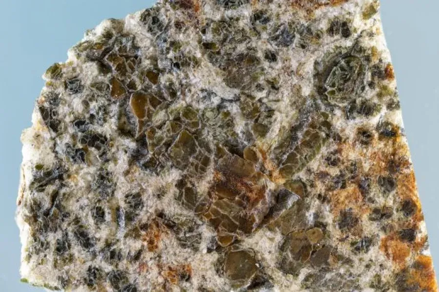 Источник: sciencealert.com