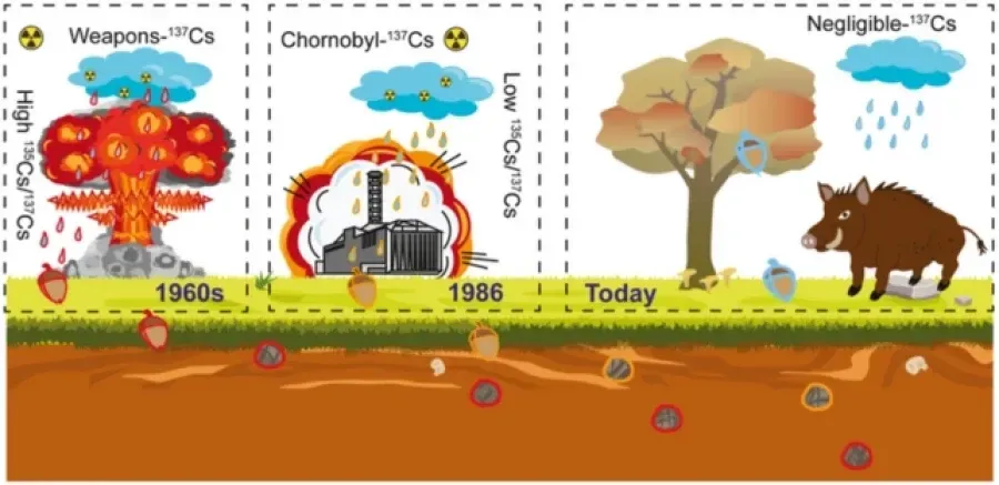 Источник: sciencealert.com