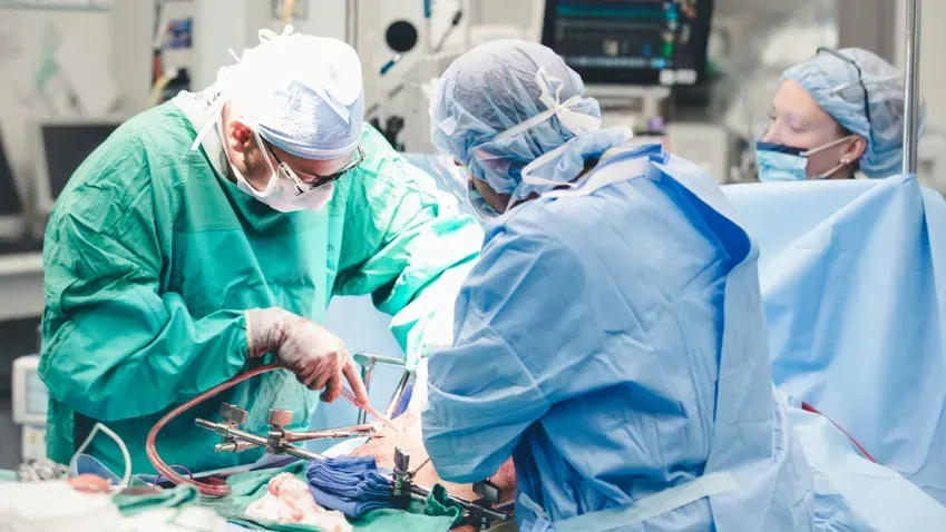 Ученые из Санкт-Петербурга изобрели новый способ подавления отторжения при трансплантации