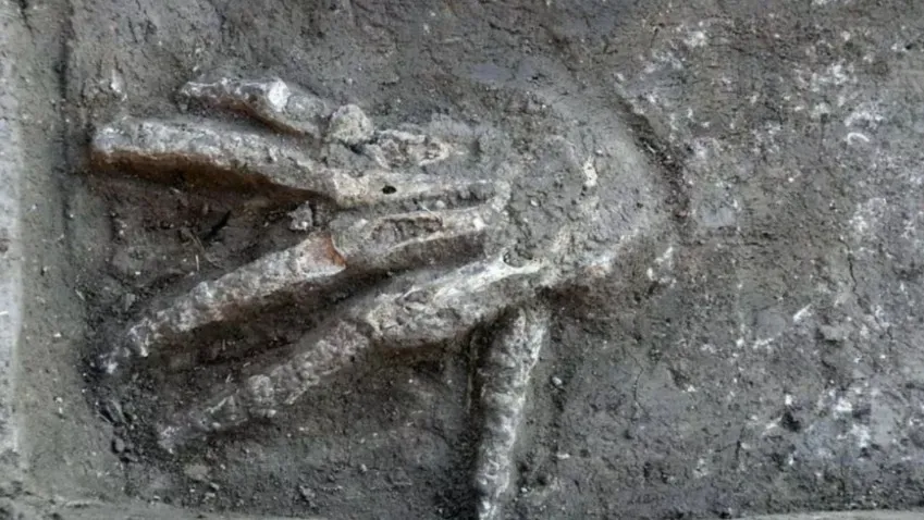 Scientific Reports: в Египте найдены отрубленные руки 12 древних поверженных врагов