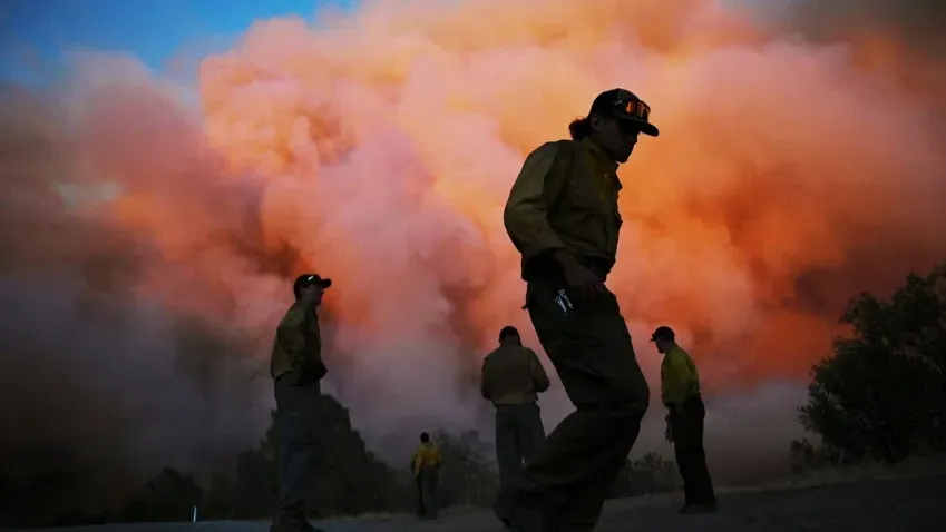 Дым лесных пожаров за 10 лет убил более 50000 калифорнийцев