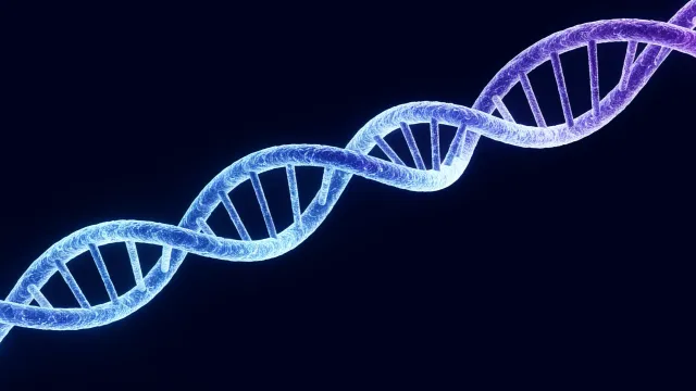 Учёные представили CREsted для анализа и создания регуляторных элементов ДНК Учёные представили CREsted для анализа и создания регуляторных элементов ДНК