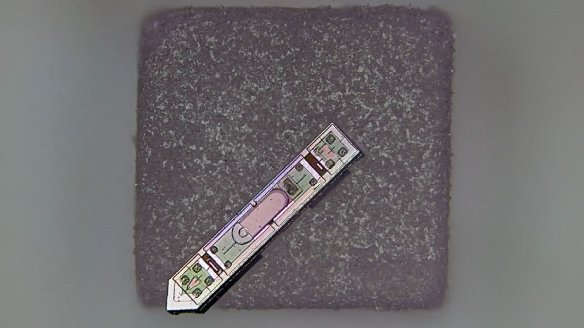 Учёные создали мини-имплантат MOTE для беспроводной работы с мозгом