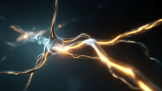 Учёные представили гибкие нейроимпланты нового поколения на полиимиде