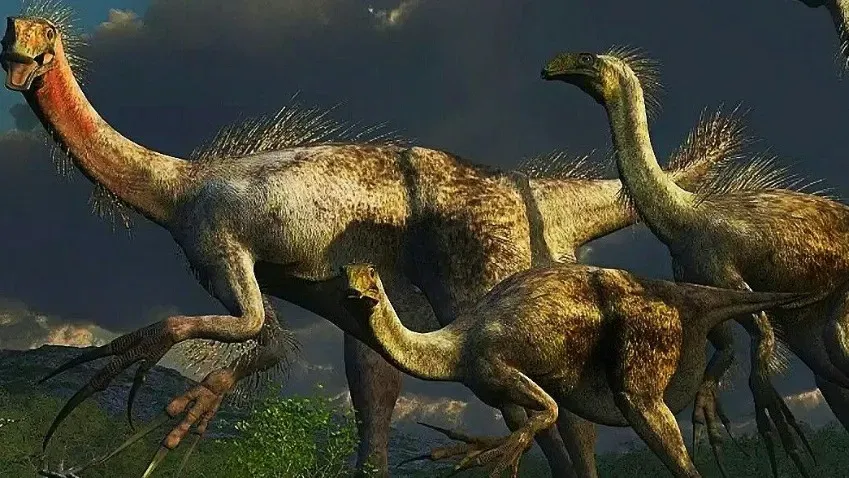 Машинное обучение идентифицировало первую британскую окаменелость динозавра теризинозавра