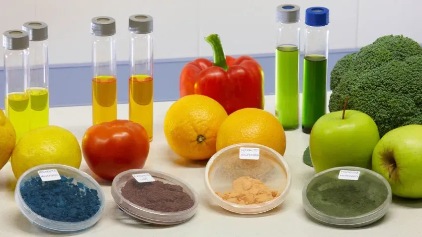 AJCN: ультраобработанные продукты сводят на нет пользу здоровой диеты