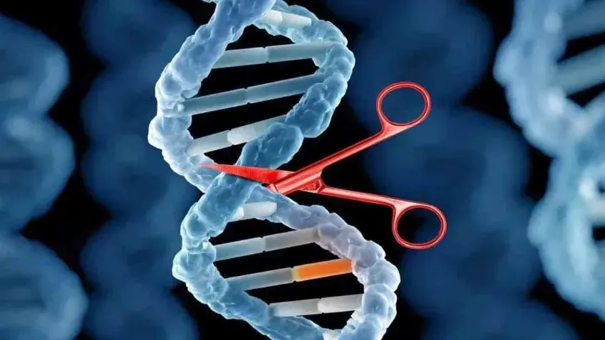 Ученые из США нашли 44 варианта генов, которые связаны с развитием мигрени