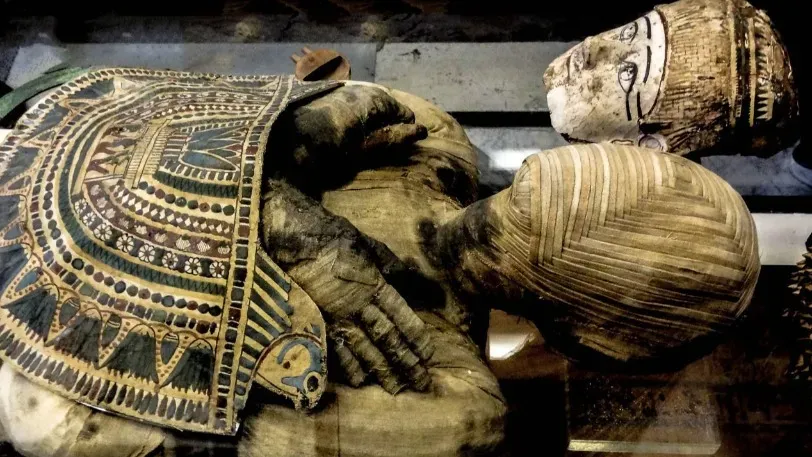 Мумификация фараонов в Древнем Египте проводилась веществами с других континентов