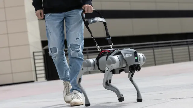 Новое устройство может заменить традиционных собак-поводырей Новое устройство может заменить традиционных собак-поводырей