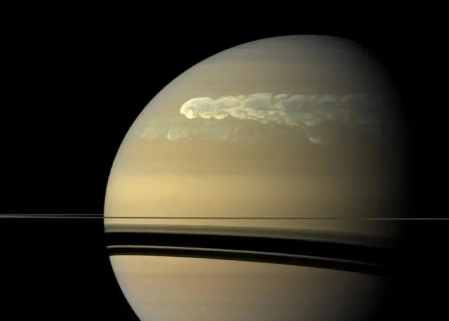 Источник: sciencealert.com