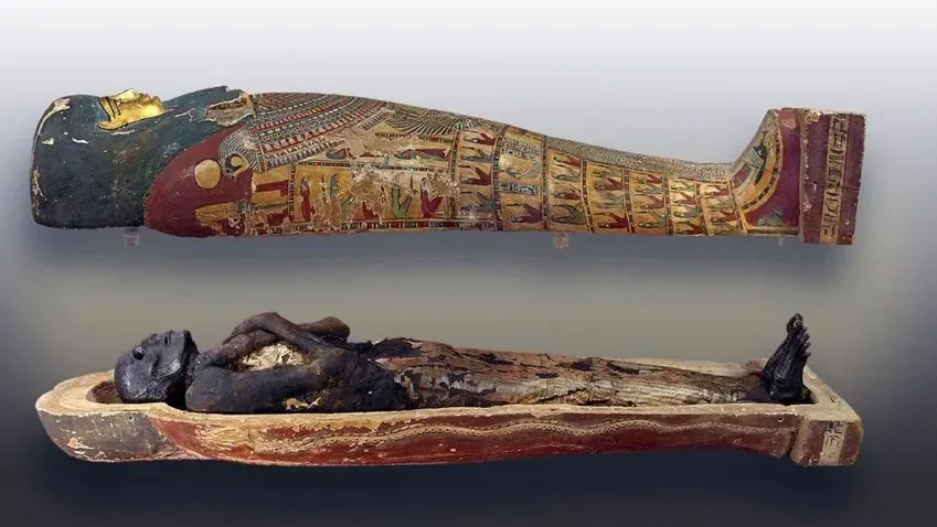 Эксперт утверждает, что древние египтяне не вытаскивали мозг через нос для создания мумии