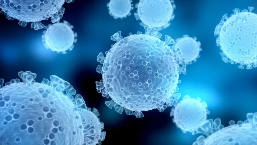 Immunome: биотехнологический стартап против онкологии